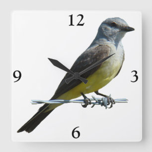 Reloj Cuadrado B45 Western Kingbird