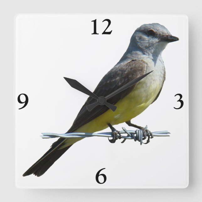 Reloj Cuadrado B45 Western Kingbird (Anverso)