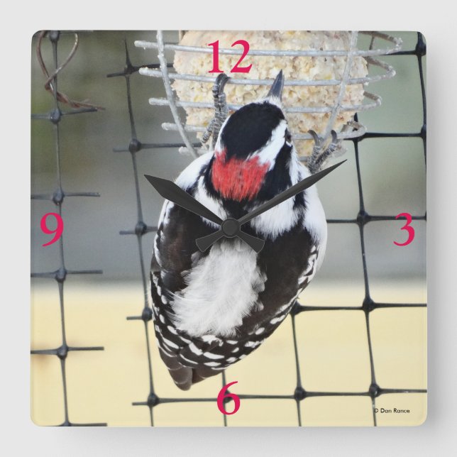 Reloj Cuadrado B53 Carpintero lechoso (Anverso)