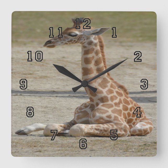 Reloj Cuadrado Baby Giraffe (Anverso)