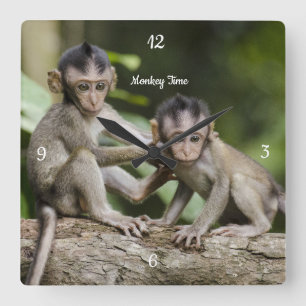 Reloj Cuadrado Baby Monkey Wall Clock