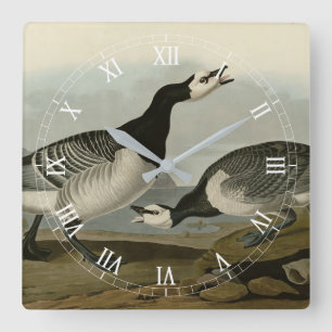 Reloj Cuadrado Barnacle Goose - from Audubon's Birds of America