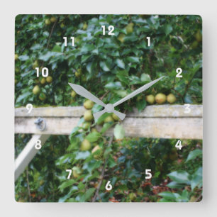 Reloj Cuadrado Bartlett Pears On Tree Orton Effect