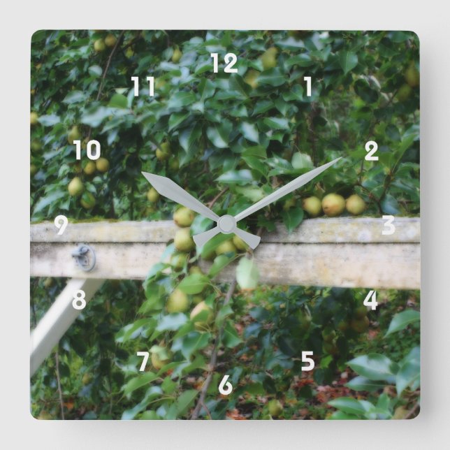 Reloj Cuadrado Bartlett Pears On Tree Orton Effect  (Anverso)