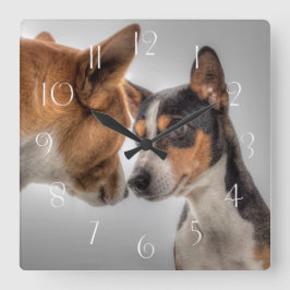 Reloj Cuadrado Basenji y amigo