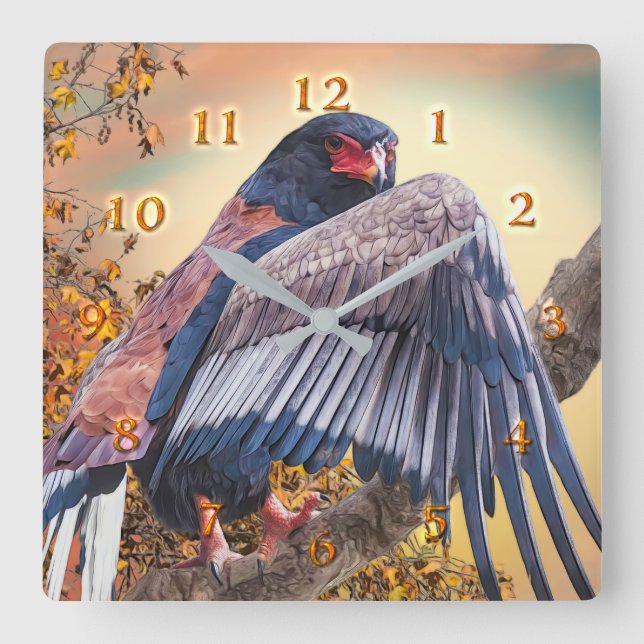 Reloj Cuadrado Bateleur Eagle "SUN DANCER" (Anverso)