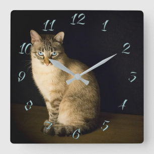 Reloj Cuadrado Batito lindo
