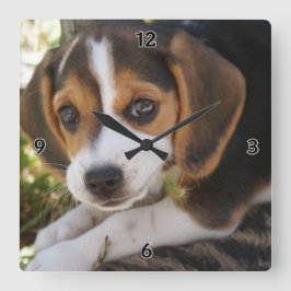 Reloj Cuadrado Beagle Baby Dog