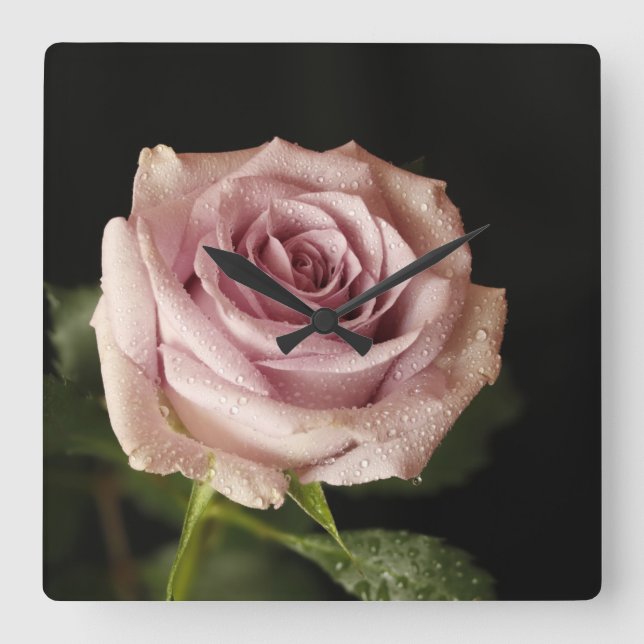 Reloj Cuadrado beautiful pink rose (Anverso)