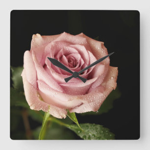 Reloj Cuadrado beautiful pink rose