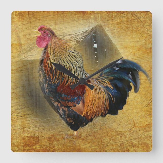 Reloj Cuadrado Beautiful Rooster and Rustic Barn Chicken Coop (Anverso)