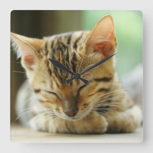 Reloj Cuadrado Bebé Kitty durmiente