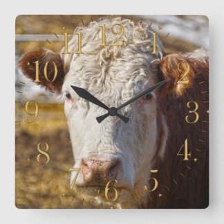 Reloj Cuadrado Belleza bovina - Bovino