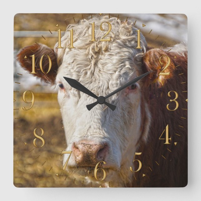 Reloj Cuadrado Belleza bovina - Bovino (Anverso)