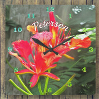 Belleza de Vallarta Flaming 1583