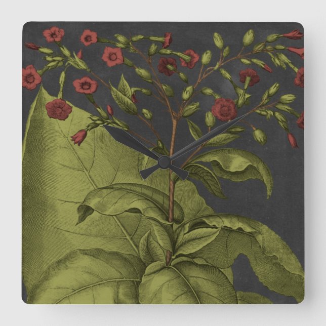 Reloj Cuadrado Besler Dramatique I (Anverso)