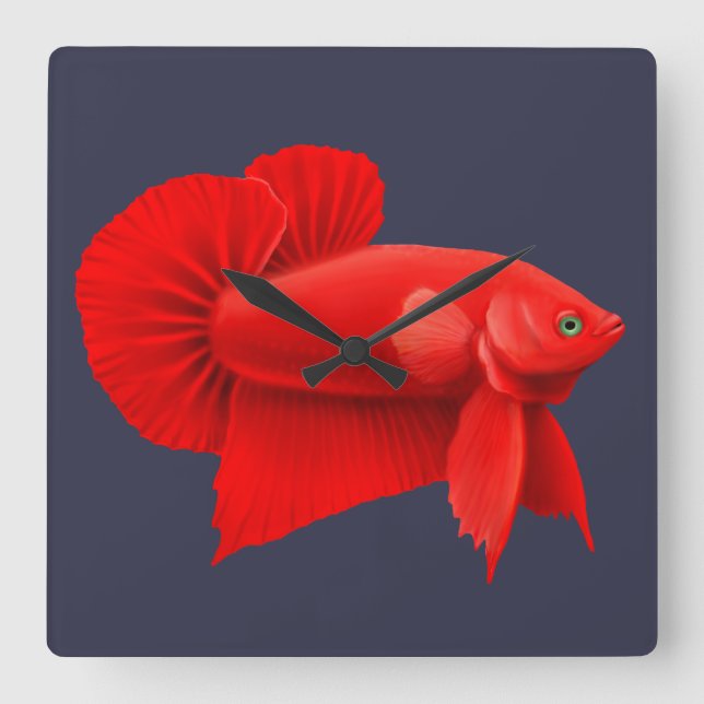 Reloj Cuadrado Big Red Betta Fish Plakat Wall Clock (Anverso)
