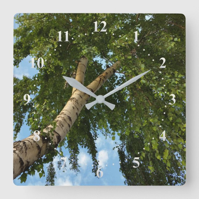 Reloj Cuadrado birch umbrella (Anverso)