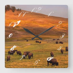 Reloj Cuadrado Bisonte que pasta en la colina en el valle de