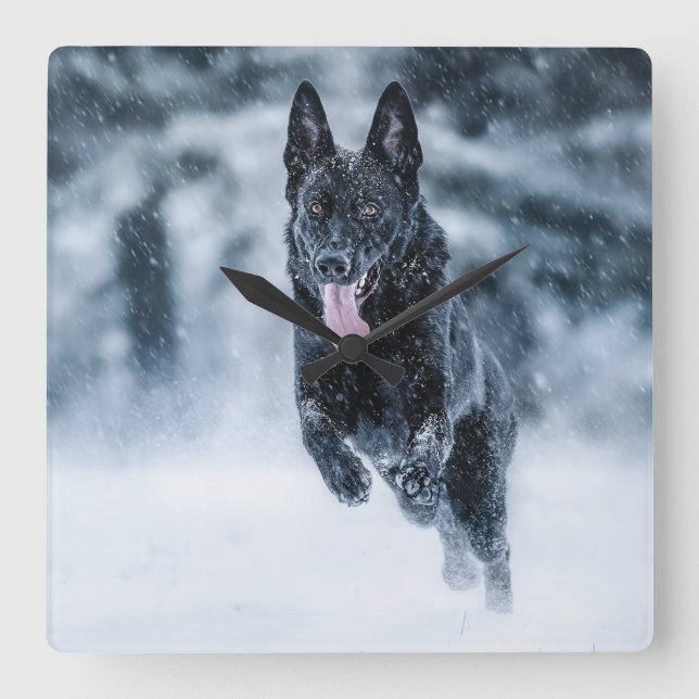 Reloj Cuadrado Black German Shepherd in snow Duvet Cover (Anverso)