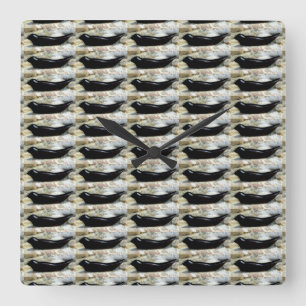 Reloj Cuadrado black harbor seals clock