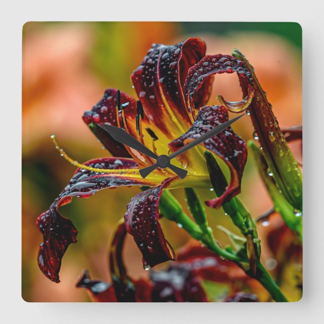 Reloj Cuadrado "Black Plush" Daylily (Anverso)