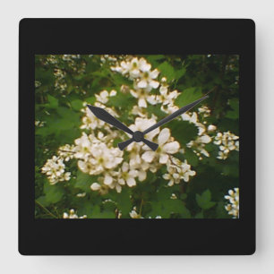 Reloj Cuadrado Blackberry Blossom