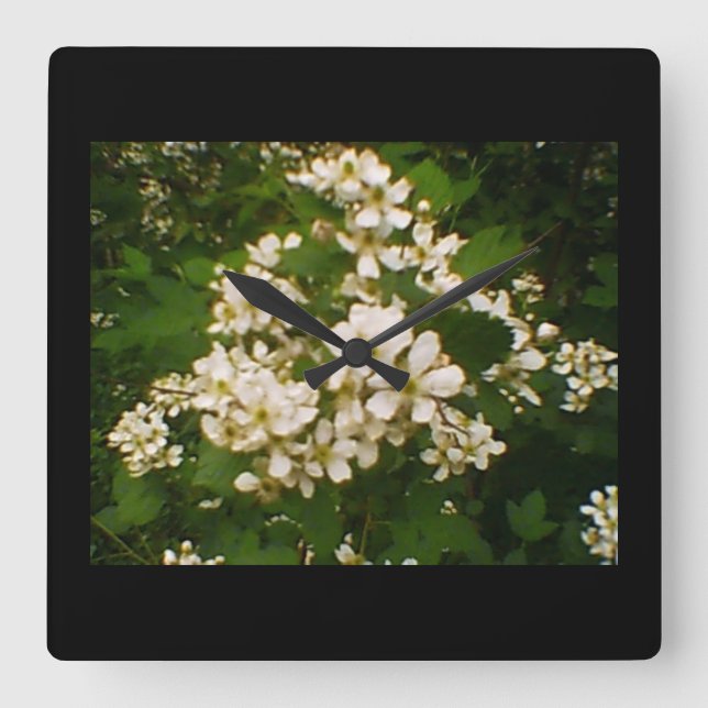 Reloj Cuadrado Blackberry Blossom (Anverso)