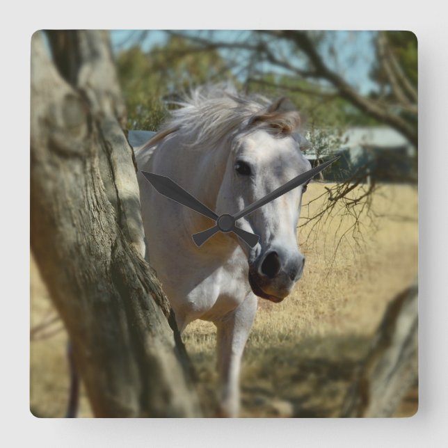 Reloj Cuadrado "Blancanieves: el majestuoso acero" (Anverso)