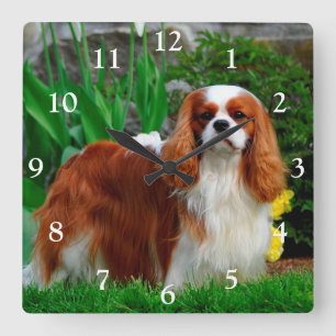 Reloj Cuadrado Blenheim Cavalier Rey Carlos Español Perro