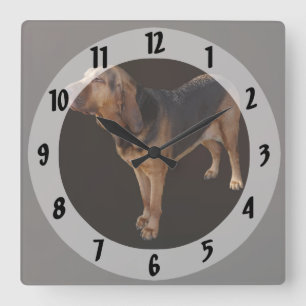 Reloj Cuadrado Bloodhound