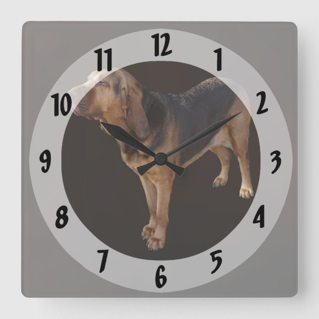 Reloj Cuadrado Bloodhound (Anverso)