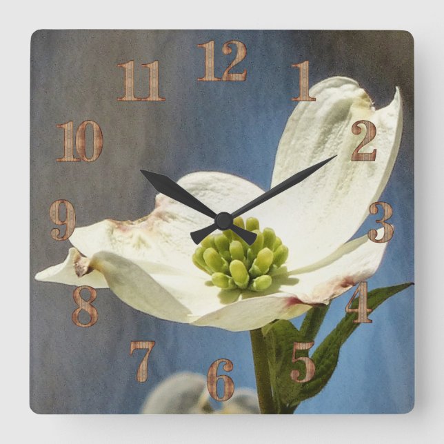 Reloj Cuadrado Bloom de dogwood blanco (Anverso)