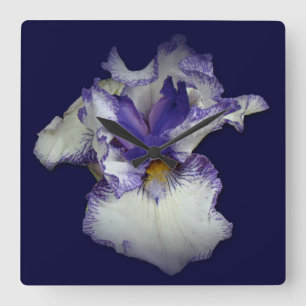 Reloj Cuadrado Blue and White Bearded Iris Flower