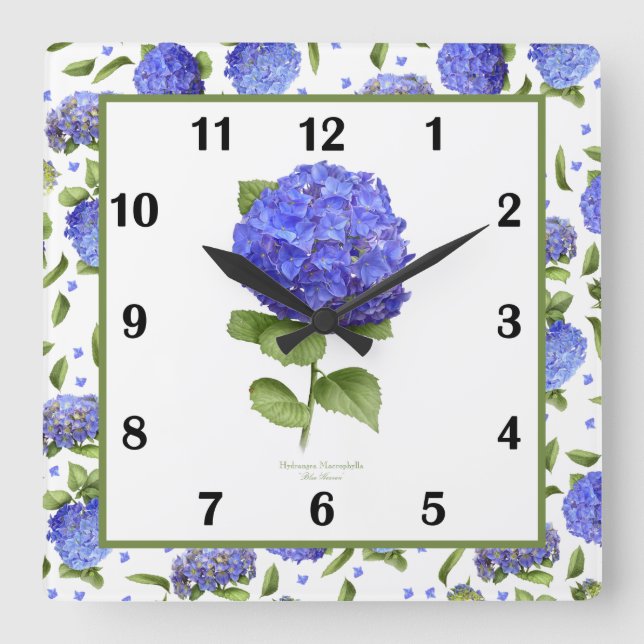 Reloj Cuadrado Blue Hydrangea Barbotánica Art Square Wall Clock (Anverso)