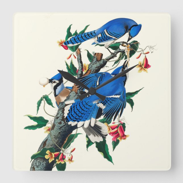 Reloj Cuadrado Blue Jays Ceramic Tile (Anverso)