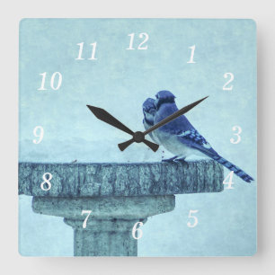 Reloj Cuadrado Blue Jays Wineding Feeding Painterly Wall Clock