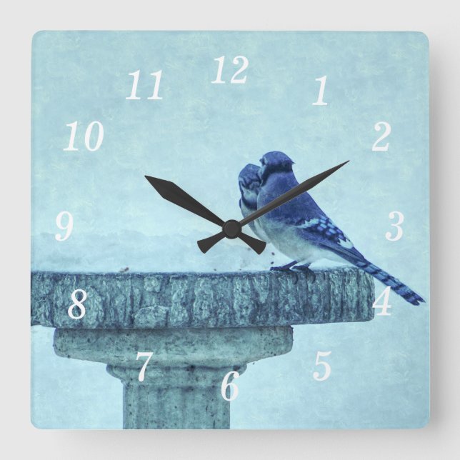 Reloj Cuadrado Blue Jays Wineding Feeding Painterly Wall Clock (Anverso)