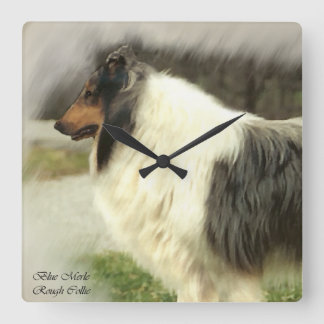 Reloj Cuadrado Blue Merle Rough Collie Gifts