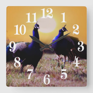Reloj Cuadrado Blue peacocks