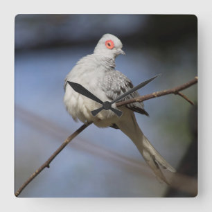 Reloj Cuadrado Bonita estufa de diamante