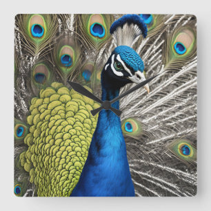 Reloj Cuadrado Bonito Peacock
