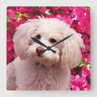 Reloj Cuadrado Bonito Poodle
