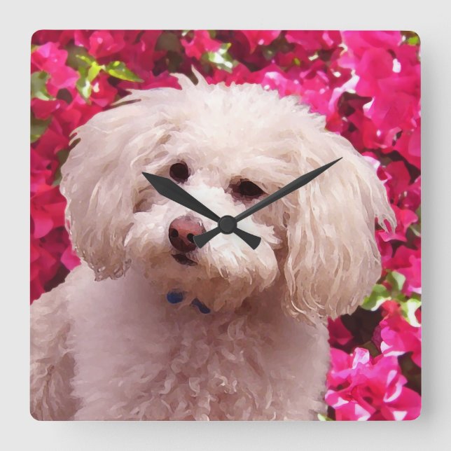 Reloj Cuadrado Bonito Poodle (Anverso)