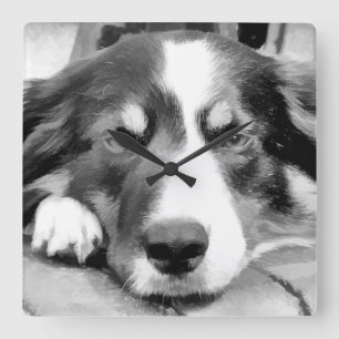 RELOJ CUADRADO BORDER COLLIE
