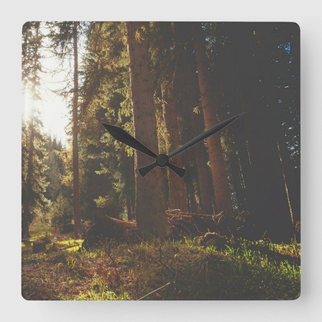Reloj Cuadrado Bosque (Anverso)