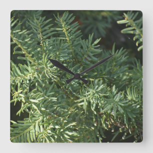 Reloj Cuadrado Bosque de Pino