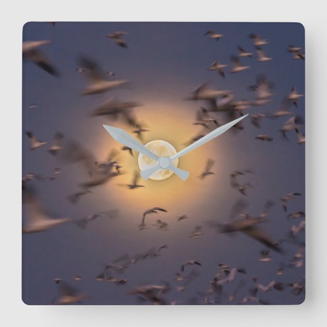 Reloj Cuadrado Bosque del Apache National Wildlife Refuge (Anverso)