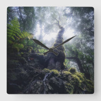 Bosques | Parque rural de Anaga Islas Canarias