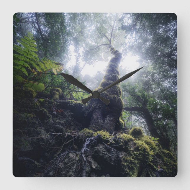 Reloj Cuadrado Bosques | Parque rural de Anaga Islas Canarias (Anverso)